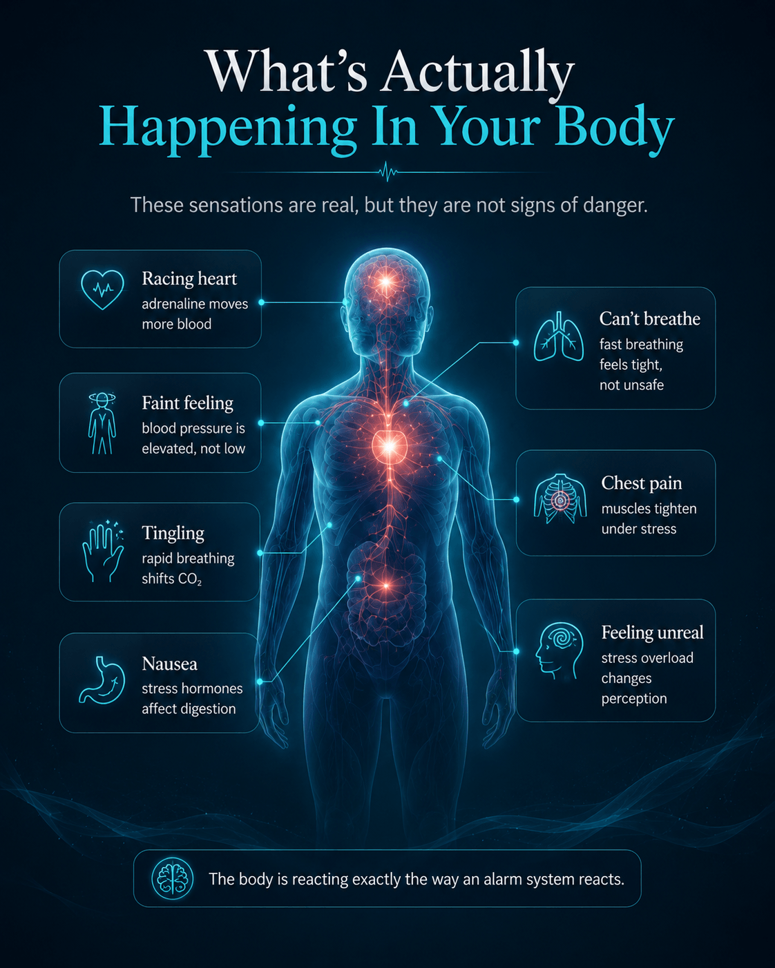 Body diagram showing panic symptoms and the physiological explanation behind them